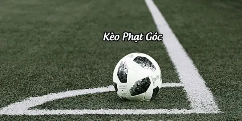 Kèo Phạt Góc Là Gì? Hướng Dẫn Chi Tiết Cách Đọc & Phân Tích Corners 1 kèo phạt góc 2025